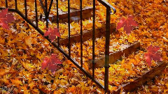 Andrea Bocelli - Les Feuilles Mortes