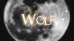 EXO,EXO-K,EXO-M - Wolf