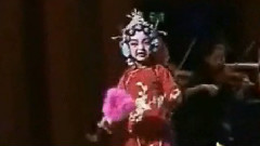 花打朝