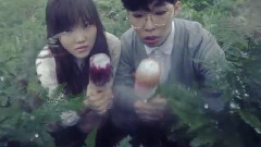 乐童音乐家 - Play 专辑预告