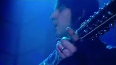 Songbird