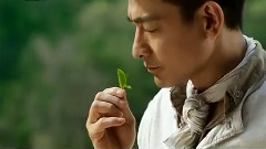 刘德华 - 无心快意