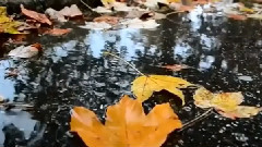 深秋雨