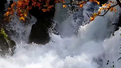 音乐短片,风景,Bandari - 山涧