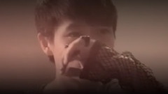 魏晨 - My Eyes