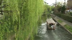 轻音乐 - 京都四季