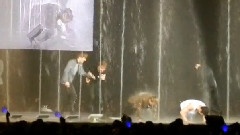 Super Junior - SS4