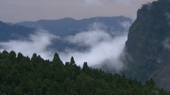轻音乐 - Magic Winds