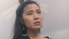 爱似流星