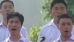 华语群星 - 党啊 亲爱的妈妈