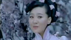 谭晶 - 桃花谣