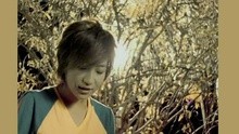 黄湘怡 - Stella Huang - 不考虑了