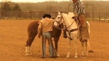 Joe Diffie,Amanda Marshall - Texas Size Heartache