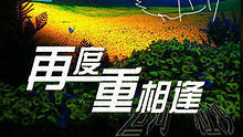 伍佰 - 再度重相逢 现场版
