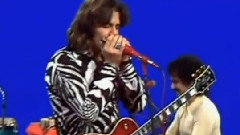 Steve Miller Band - Living In The USA