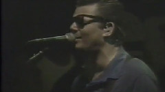 Steve Miller Band - Jungle Love & Jet Airliner