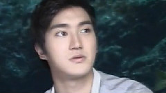 Super Junior - True Inside Asiansm