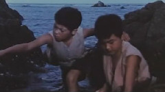 李谷一,影视原声 - 苦根上结出的一对苦瓜