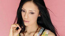高胜美 - 高胜美《追梦人》 饭制版