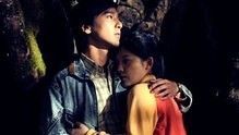 王菲 - 王菲《致青春》 电影《致青春》主题曲 沙画版