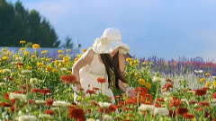 音乐短片 - 花海心曲