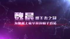 魏晨 - 魏晨帽子戏法演唱会30秒宣传片