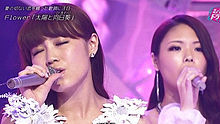 Flower,高耀太 - Flower - 太陽と向日葵 Music Dragon 20130810 现场版