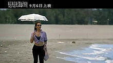 蔡琴 - 蔡琴 - 全新飞翔 电影 《恋恋海湾》 片尾曲