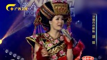 远方的客人请你留下来 一声所爱大地飞歌20130724
