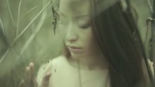 Phaeleh,Paper Lions,麦迪逊·比尔 - Tokoi