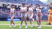 CPBL 狮VS象 象young女孩赛前热舞