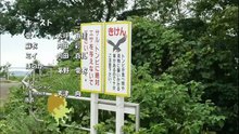 美依,麻衣,爱 - 日本动漫 漫研社 OP