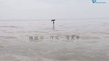 陈绮贞 - 流浪者之歌 歌词版
