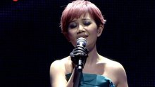 群星 - 江苏卫视2010-2011跨年演唱会