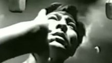 刘德华 - 真永远