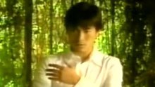 刘德华 - 刘德华 - 浪人情歌