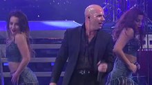 Pitbull - Pitbull - Timber