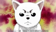DOES - 昙天 日本动漫《银魂》OP