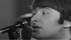 The Troggs - With a Girl like You