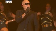 Pitbull - Pitbull - Medley