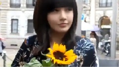 T-ara - 欧洲自由行