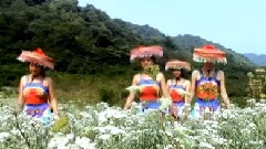 原创 - 我在柏芷山等你