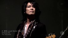 Stealth,Ash Gray,Royal Pirates - Stealth - 激情-Loud..