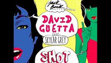 Skylar Grey,David Guetta - David Guetta - Shot Me Down
