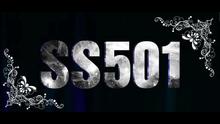 ss501 - Fighter 图片版