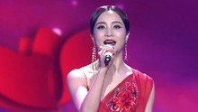陶红 - 陶红 - 点亮幸福 北京卫视春晚