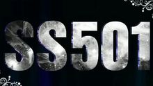 ss501 - Be A Star 图片版