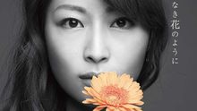 yu-yu - yu-yu - 名もなき花のように