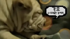 BigBang - 2NE1TV S01 EP07