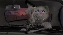 Avey Tare's Slasher Flicks,Lucius - Little Fang